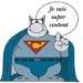 Le chat geluck superman
